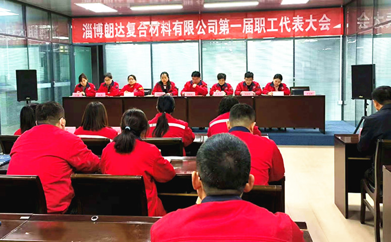 淄博朗達(dá)復(fù)合材料有限公司第一屆職工代表大會(huì)勝利召開(kāi)
